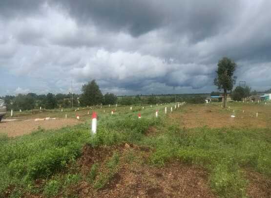 Phase 35 Pune